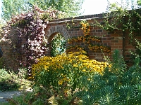 Wall Garden